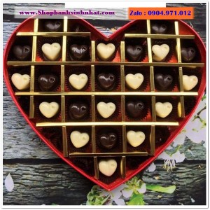 Hộp Quà Socola - SCO35